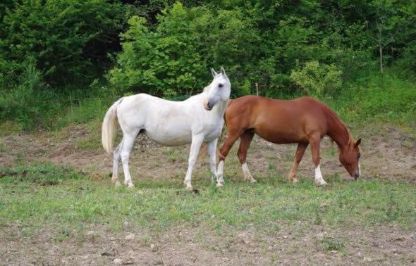 Farm stay Valle Tezze